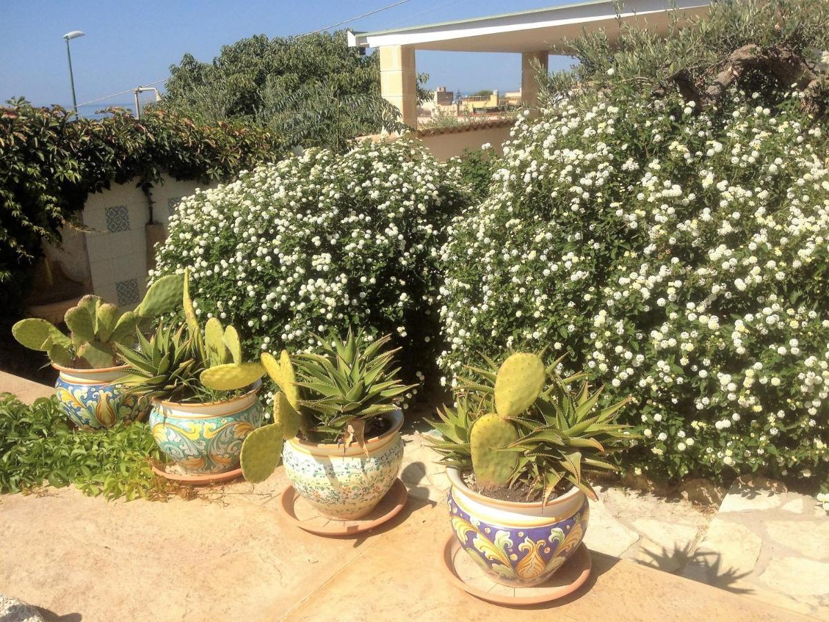 Villa Ceni - Appartamenti Con Camere, Cucina, Wc E Terrazza Sul Mare In Villa Con Piscina, Giardino E Parcheggio 马里内拉 外观 照片