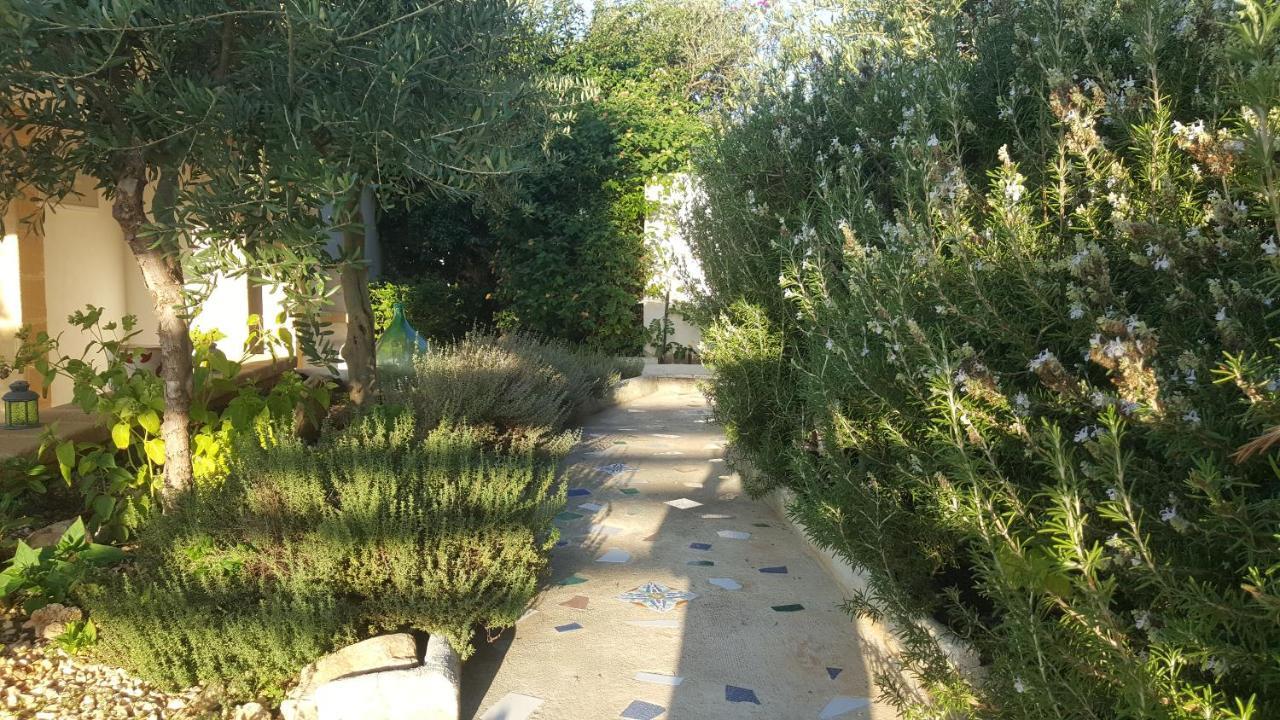 Villa Ceni - Appartamenti Con Camere, Cucina, Wc E Terrazza Sul Mare In Villa Con Piscina, Giardino E Parcheggio 马里内拉 外观 照片