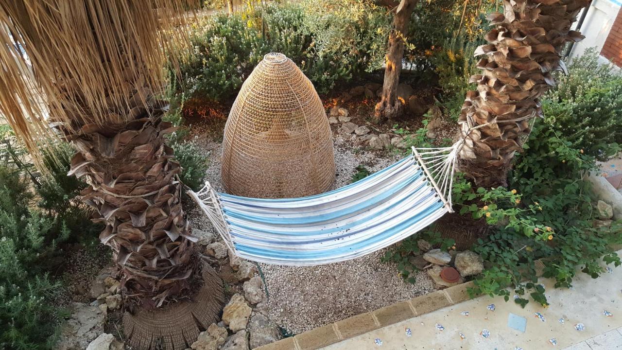 Villa Ceni - Appartamenti Con Camere, Cucina, Wc E Terrazza Sul Mare In Villa Con Piscina, Giardino E Parcheggio 马里内拉 外观 照片